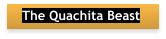 The Quachita Beast