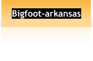 Bigfoot-arkansas