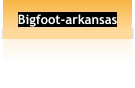 Bigfoot-arkansas